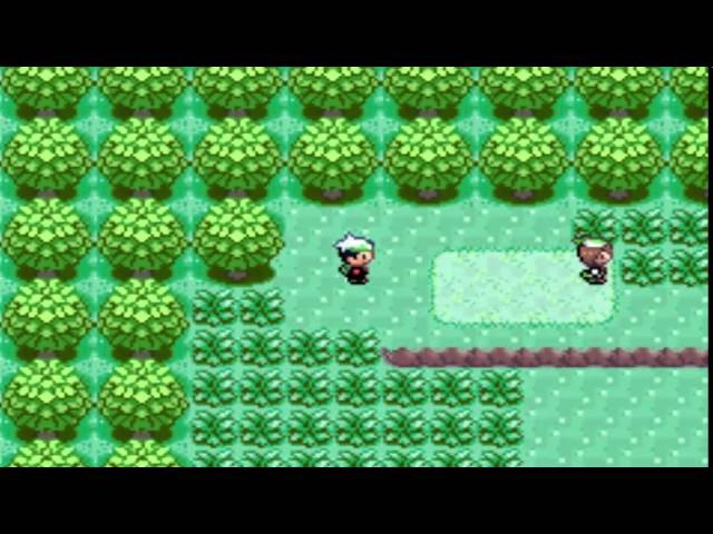 Route 103 Emerald: A Journey Through Challenges and Solutions