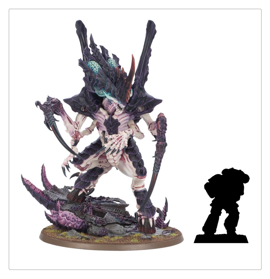 Hive Tyrant Size: Why It Matters and What You Need to Know