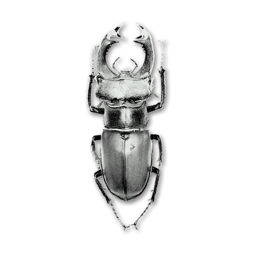 Exploring Silver Pincher in Infinite Wealth: A Deep Dive into Strategy, Gameplay, and Secrets
