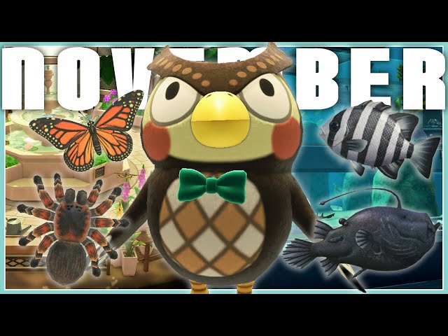 November Bugs and Fish ACNH: A Closer Look at the Seasonal Surprises