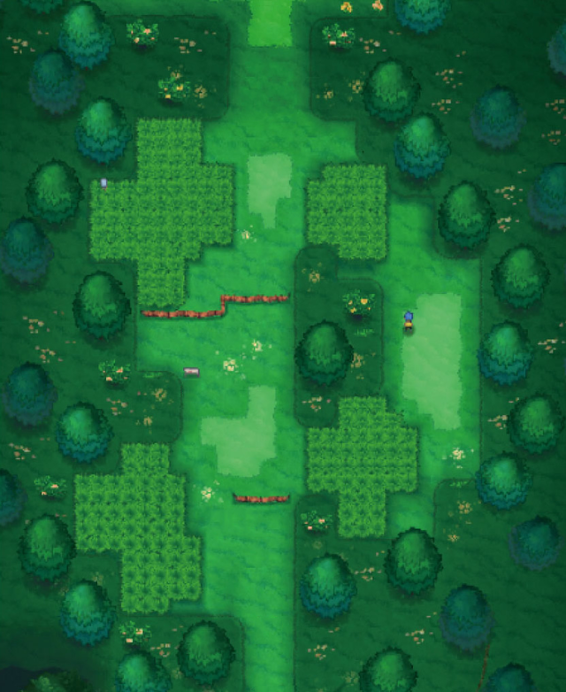Route 101 Hoenn: The Hidden Gem of Pokémon's Early Adventure
