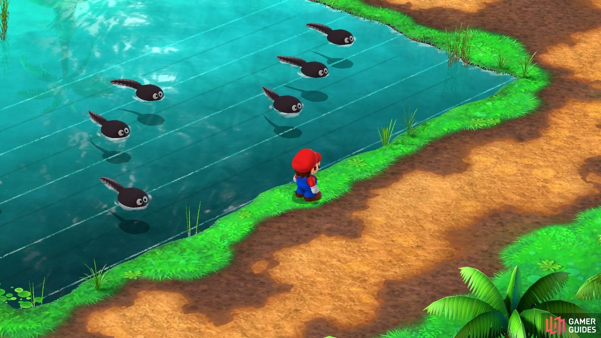 Moleville Blues: Troubles and Solutions for Gamers