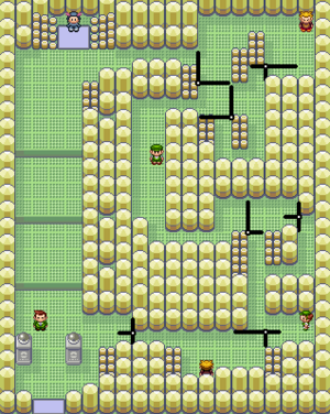 How to Get to the Fortree City Gym: A Simple Guide for Players