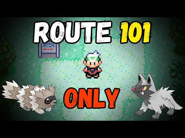 Route 101 Hoenn: The Hidden Gem of Pokémon's Early Adventure