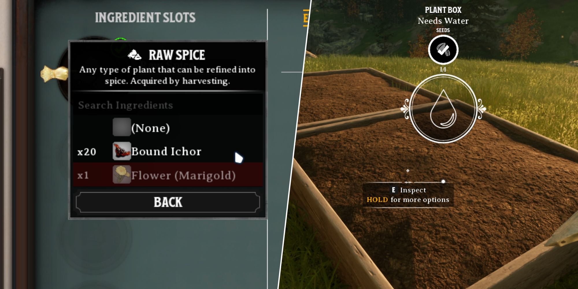 Nightingale Raw Spice: The Game-Changer or the Spice That Makes Us Cry?