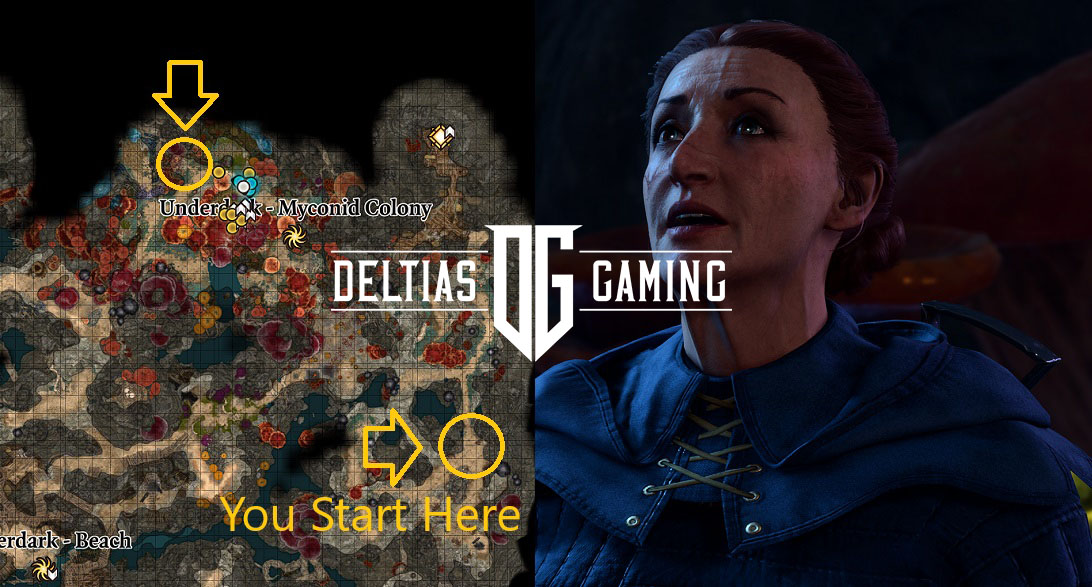 Hail of Thorns: A Thorny Issue for Gamers