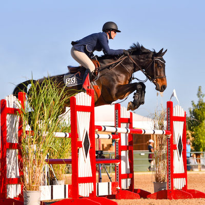 Sweepa Saddle: The Ultimate Guide to Comfort and Performance in Horseback Riding