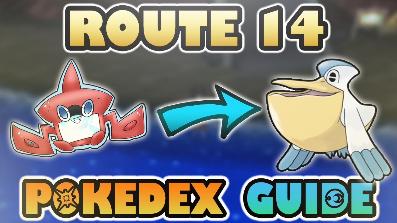 Exploring Route 14 in Pokémon: Tips, Troubles, and Hidden Surprises