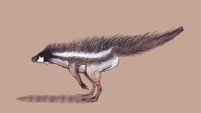 Skunk Statblock: Everything You Need to Know About the Skunk Creature in Dungeons & Dragons