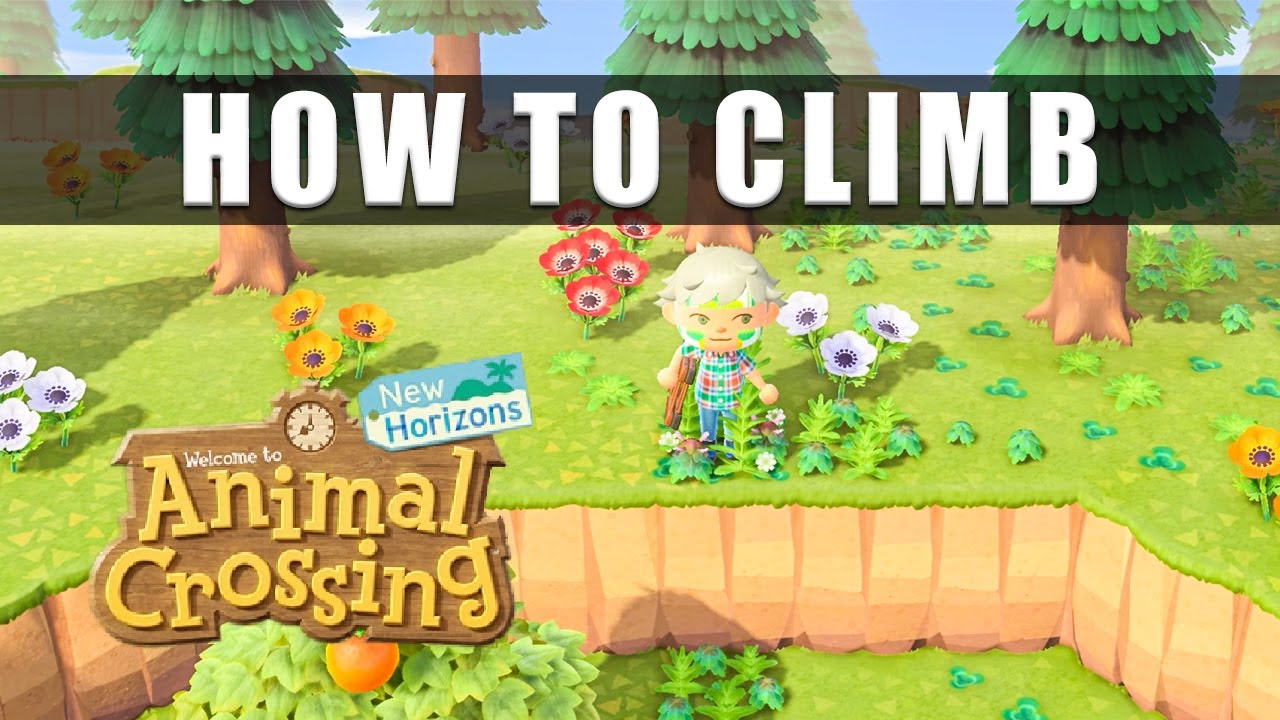 How to Get on Higher Ground in Animal Crossing