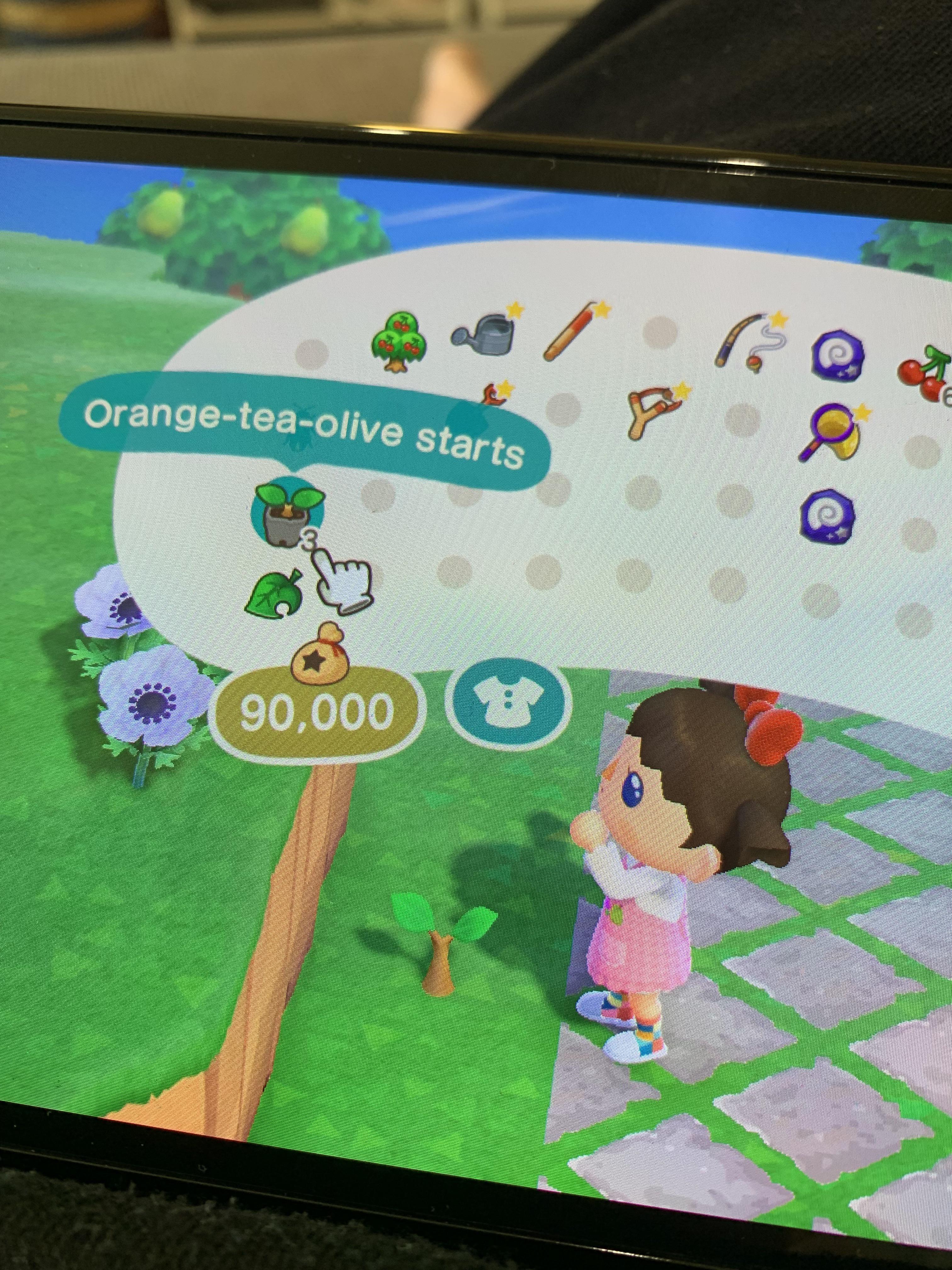 Unveiling the Mystery of Orange Tea Olive in Animal Crossing: New Horizons