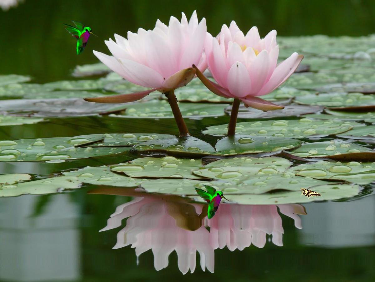 Everything You Need to Know About the Purple Lotus Plant in Games: Beauty, Struggles, and Solutions