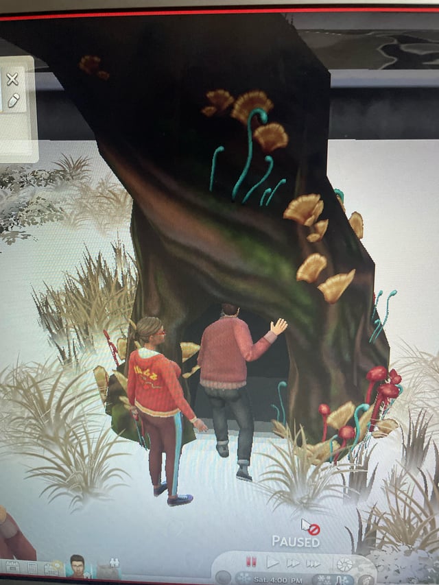 Hidden Glade: A Secret Waiting to Be Discovered