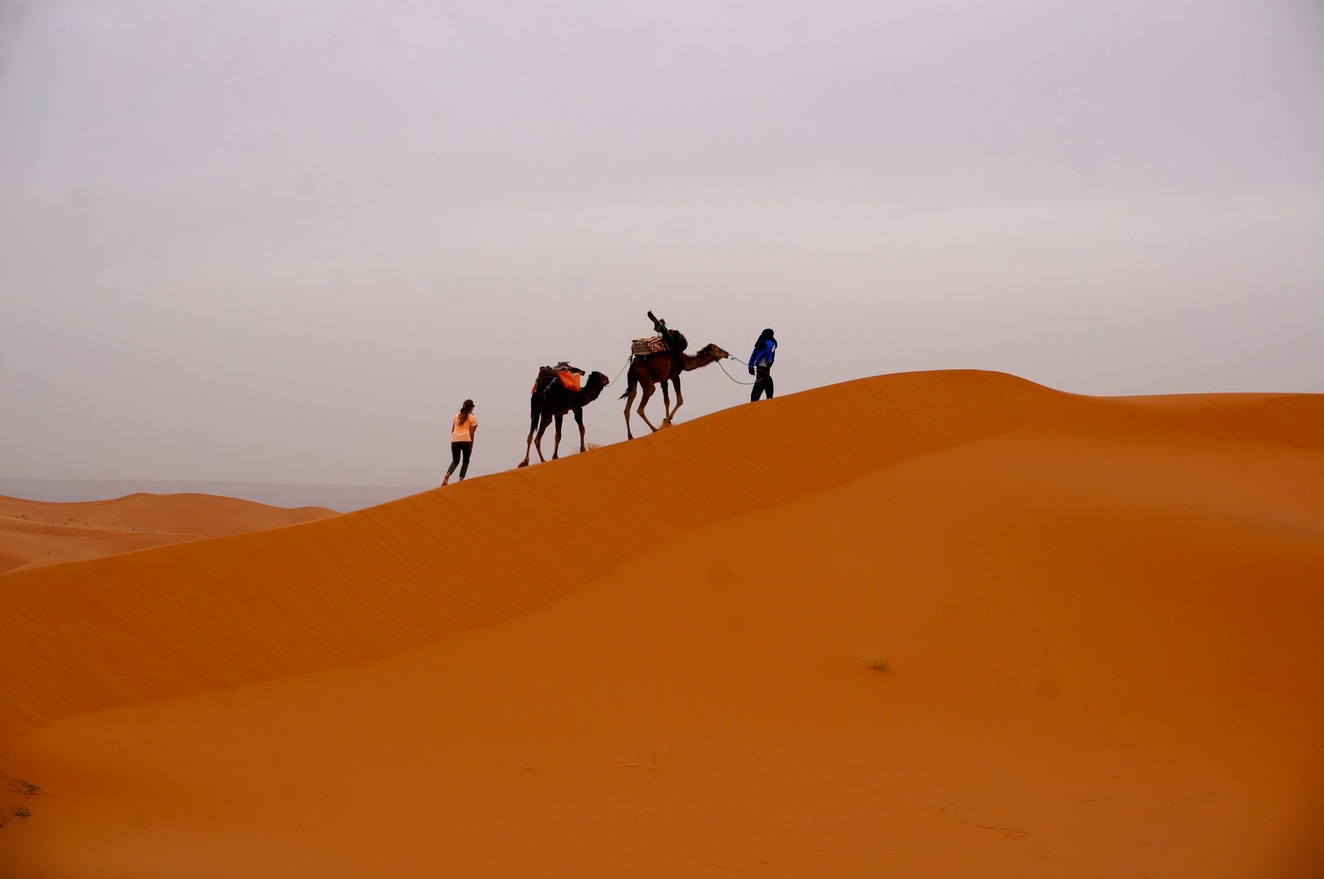 Sandstorm Treks: A Journey Through the Desert – Gameplay, Issues, and Solutions