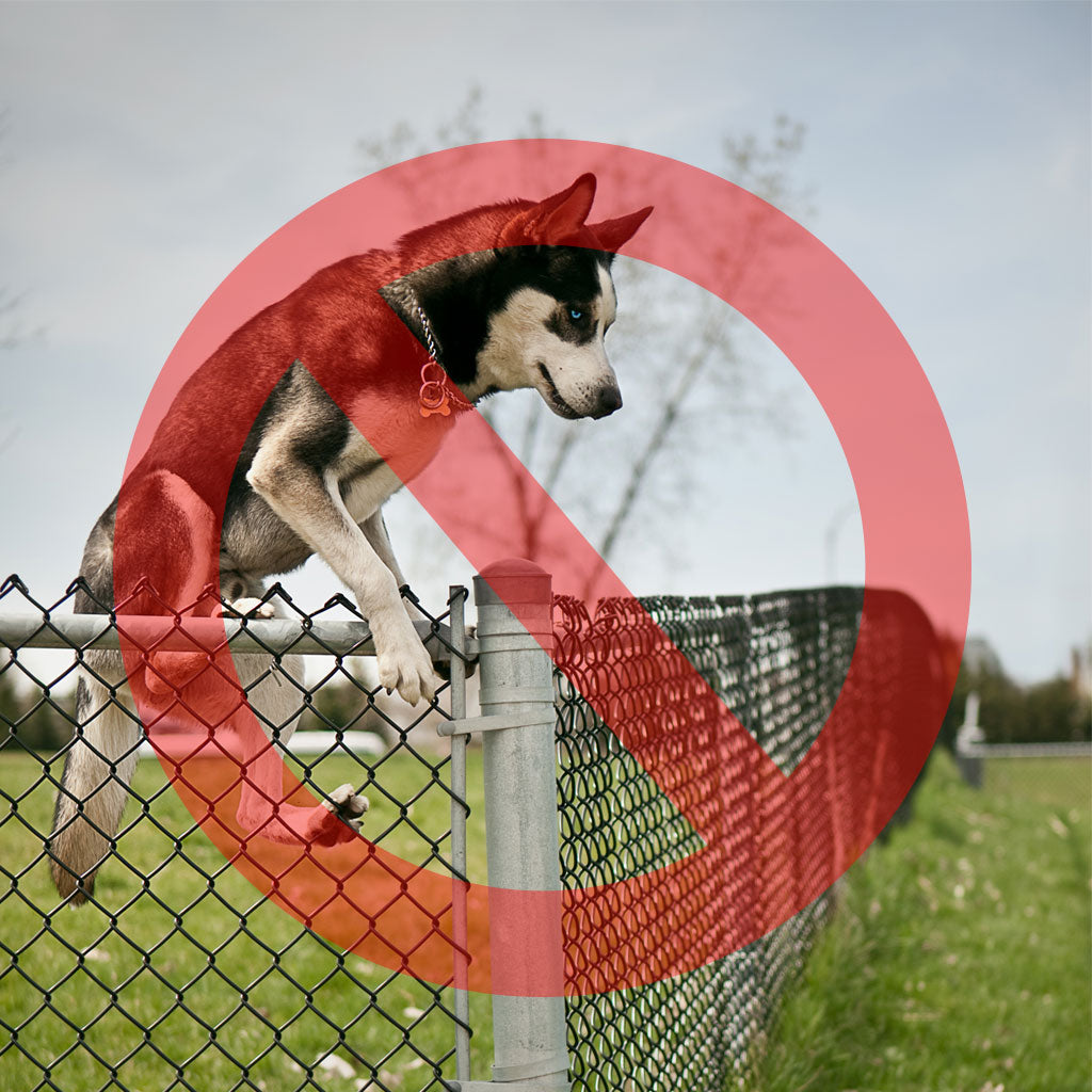 OPS 1000 Dog Fence: How to Tame the Wildest of Fences