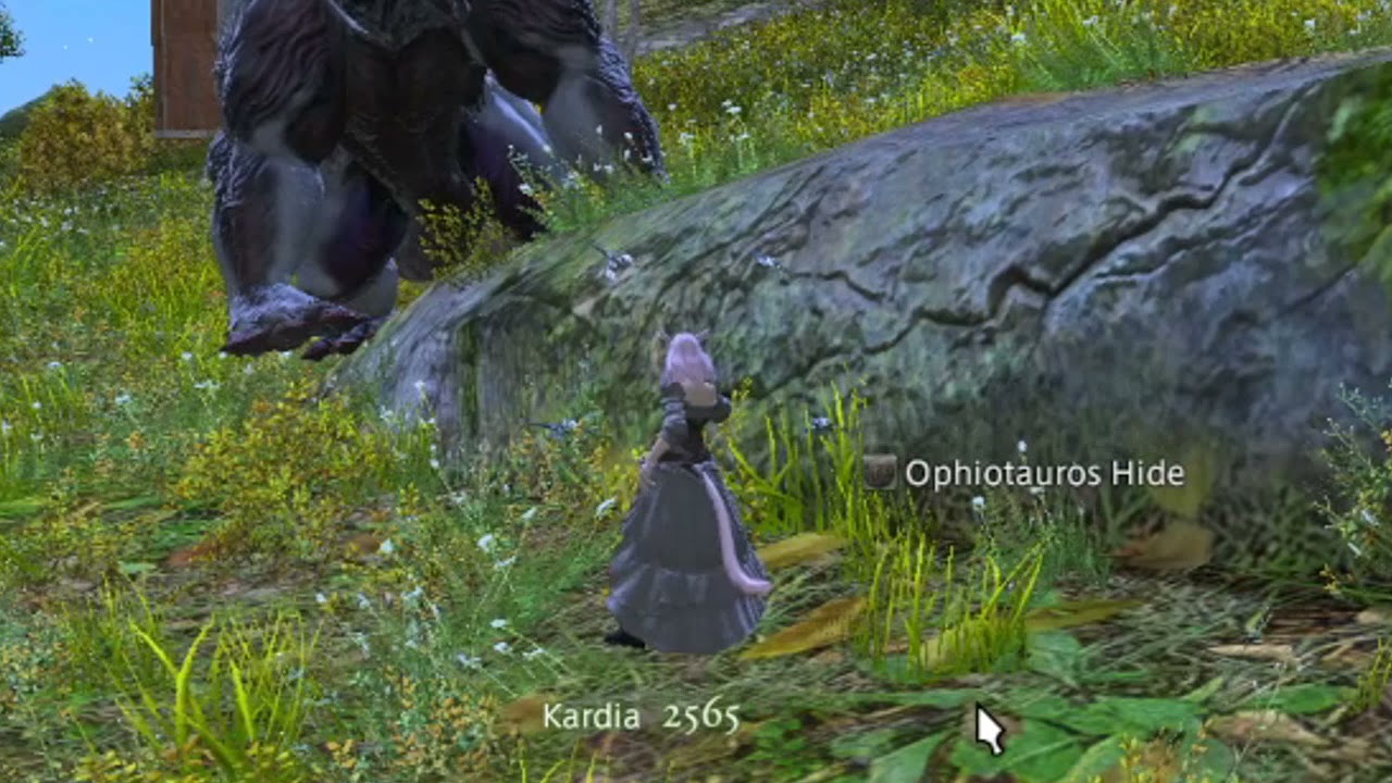 Everything You Need to Know About Ophiotauros Hide in Gaming