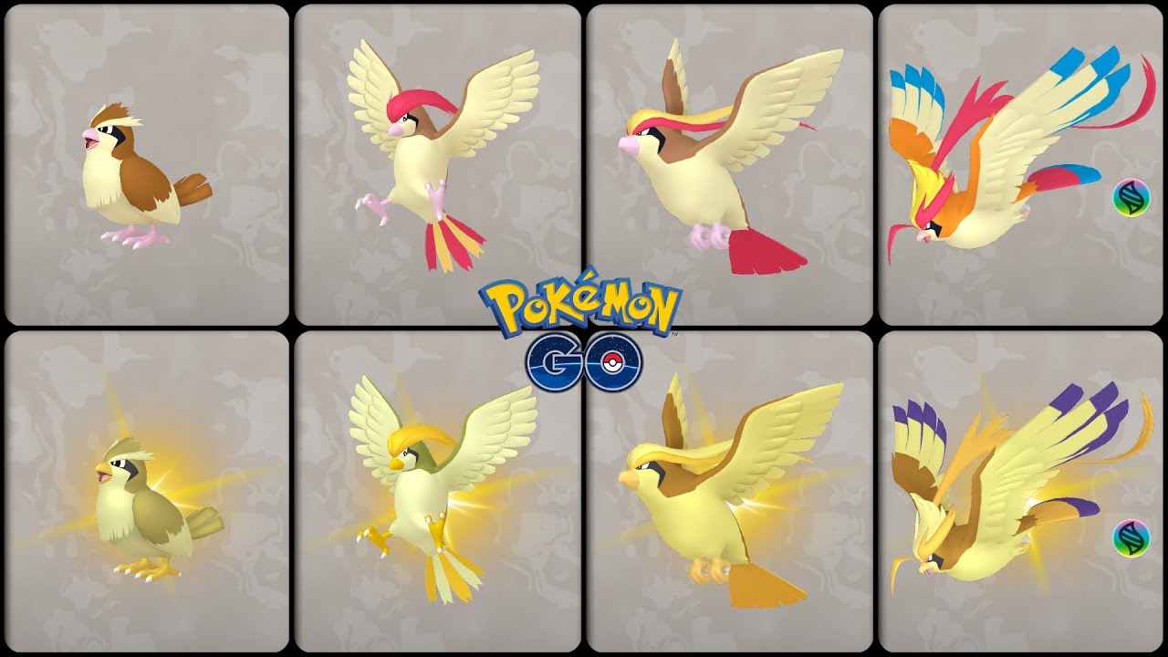 Shiny Pidgey and Pikipek: A Colorful Evolution in Pokémon Go and Beyond