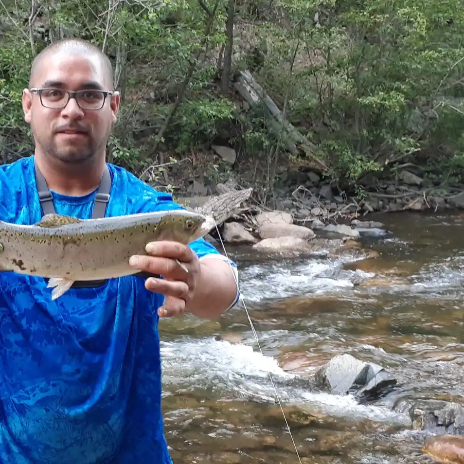 Monastery Lake Fishing Report: A Comprehensive Guide to the Best Catch