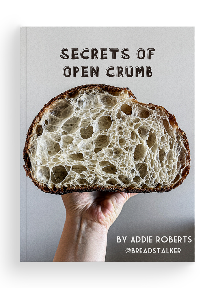Rosetta Bread: The Mystery of Crumbs in Your Game - A Gamer’s Guide