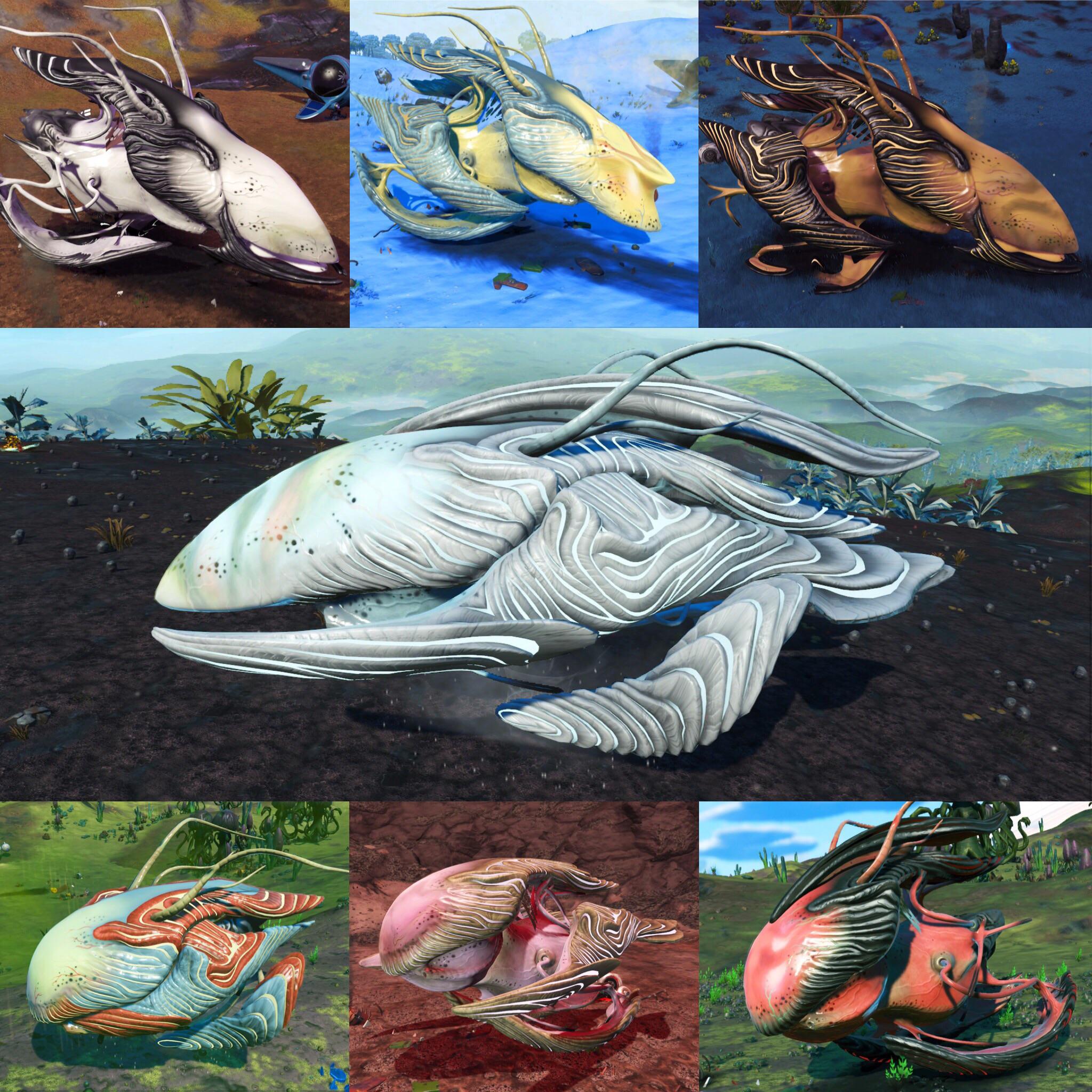 No Man's Sky Living Ship: A Living Experience or Just Another Bug?
