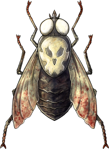 Misfortune Pathfinder: The Bug that Haunts Players' Adventures