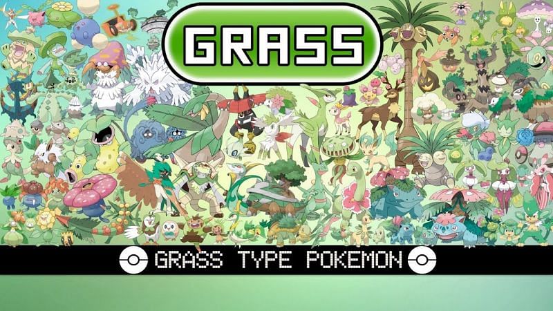 Grass Types in Hoenn: An In-Depth Look at the Power of Nature!