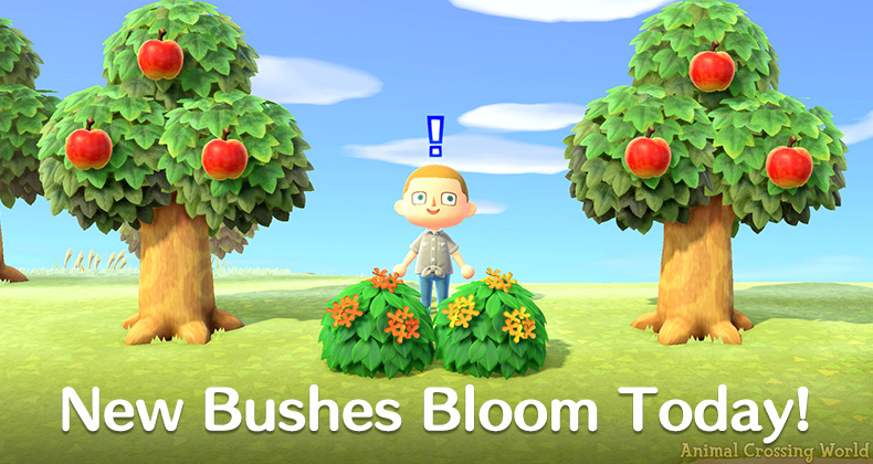 Unveiling the Mystery of Orange Tea Olive in Animal Crossing: New Horizons