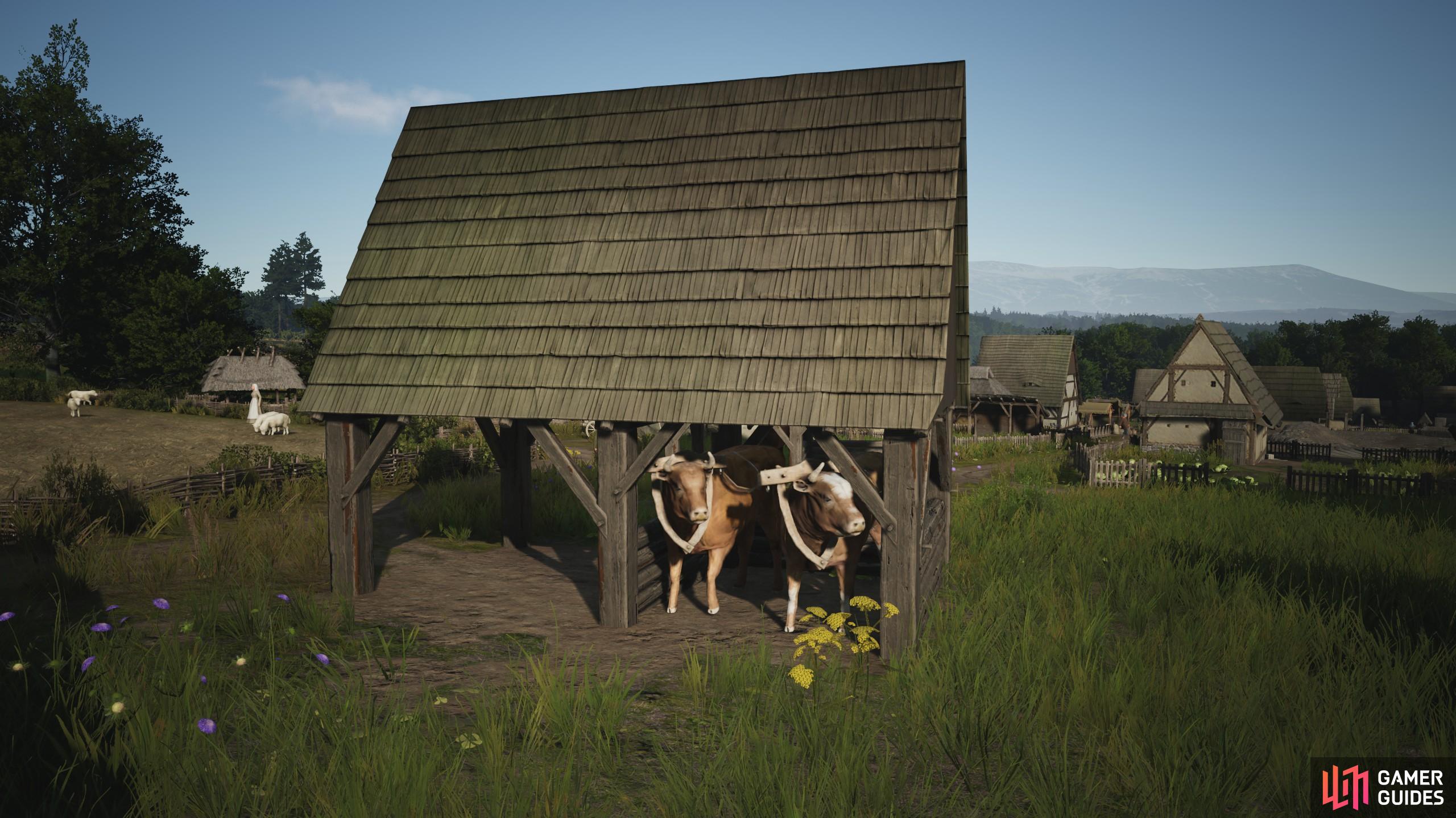Not Enough Stable Space in Manor Lords: What’s Going On?