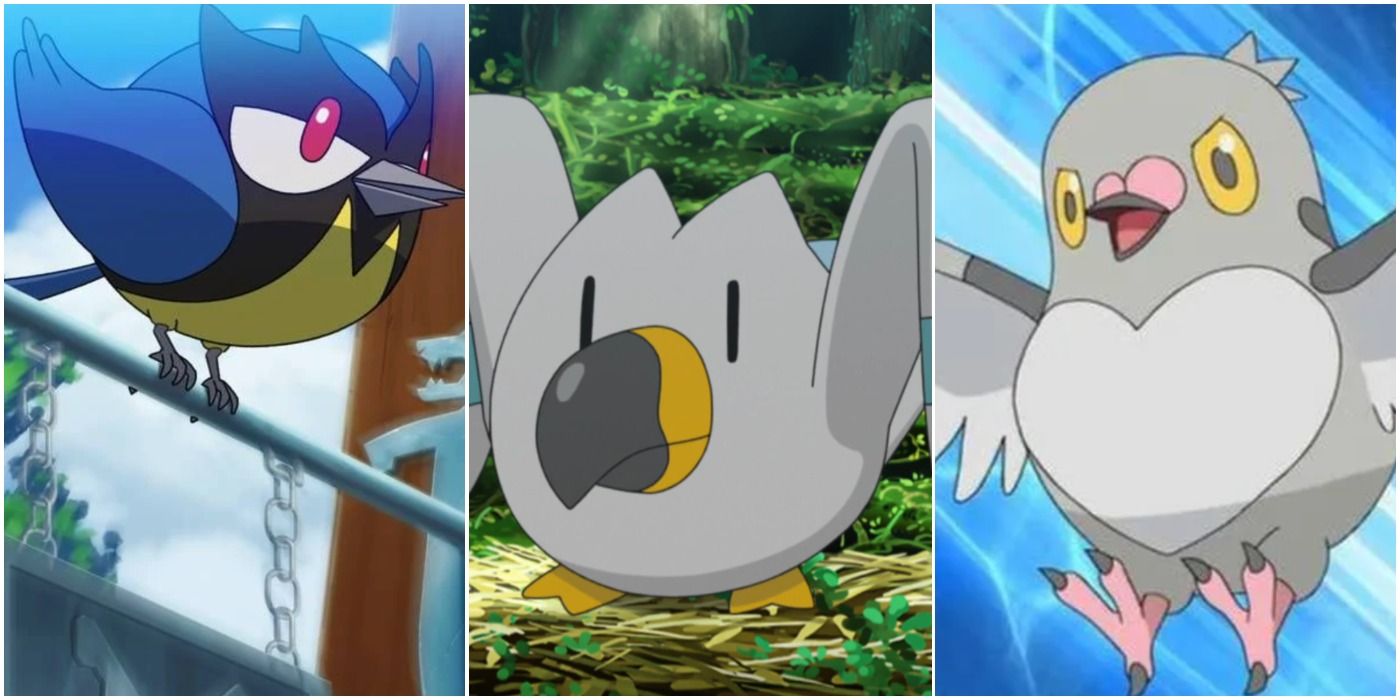 Route 1 Bird Pokémon: A Fan-Favorite, But Why Do We Love It So Much?