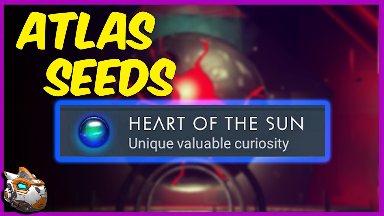 Everything You Need to Know About NMS Seed: A Beginner's Guide