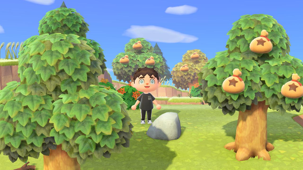 Money Tree Island ACNH: Unlocking the Mystery and Benefits