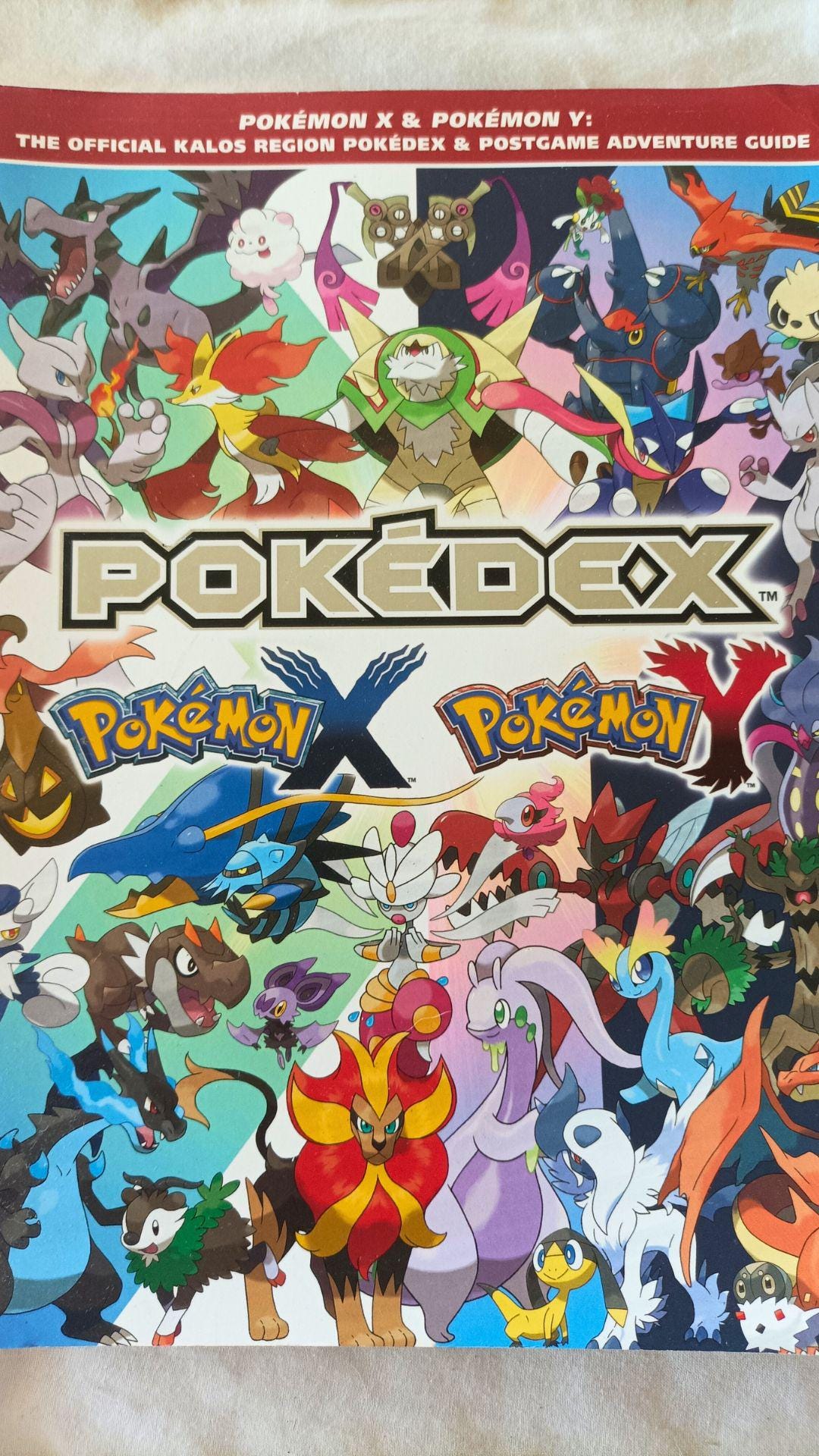 Exploring Pokémon X and Y Items: A Guide to Mastering Your Gear