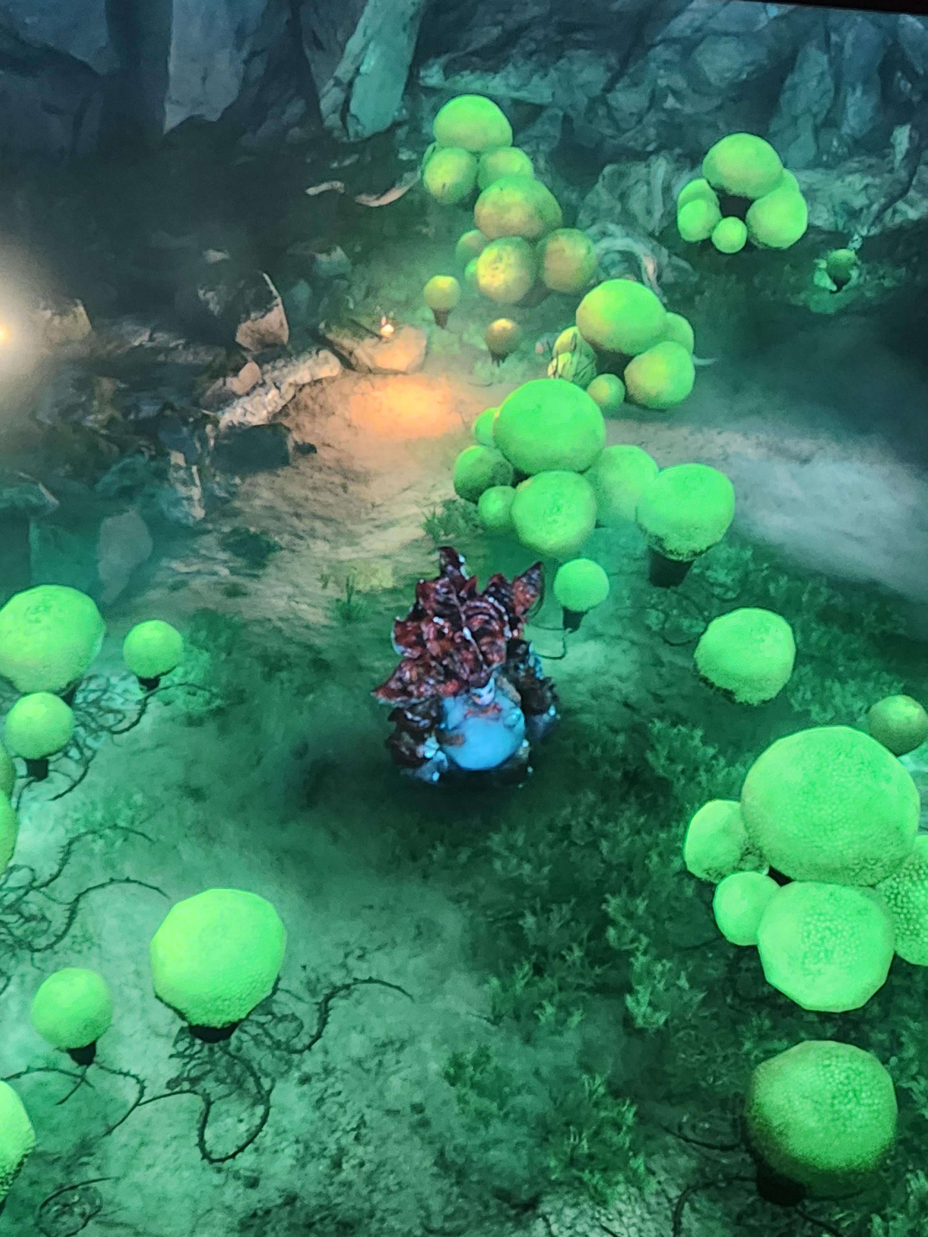 Mushrooms BG3: The Mysteries and Fun Behind It