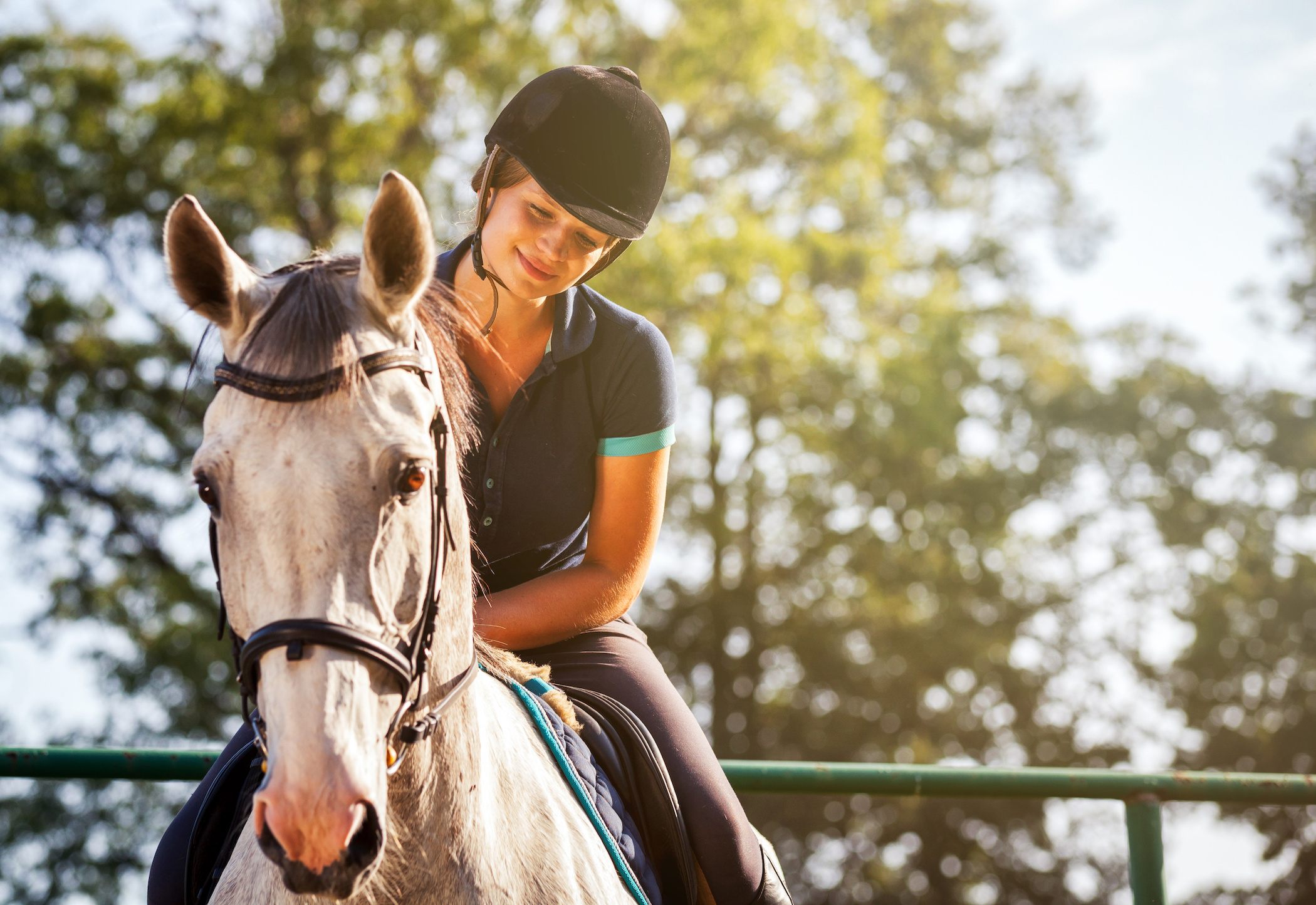 Sweepa Saddle: The Ultimate Guide to Comfort and Performance in Horseback Riding