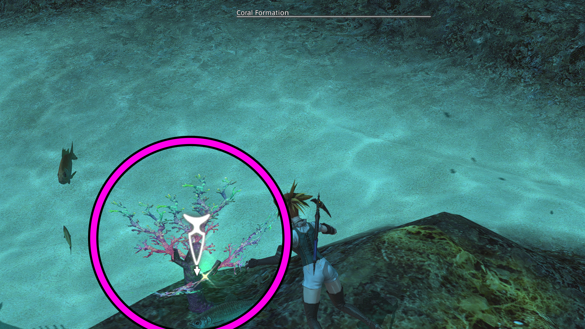 Island Jellyfish FFXIV: The Unpredictable Creature That'll Have You Scratching Your Head