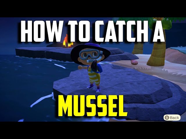 Mussel ACNH: The Unexpected Treasure and How to Deal with It