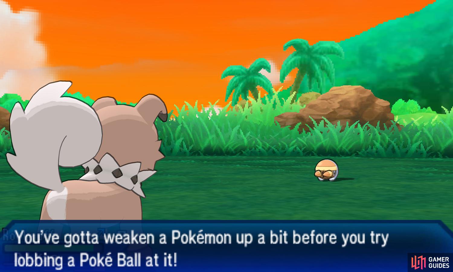 Everything You Need to Know About Route 1 in USUM: A Fun Yet Challenging Adventure!