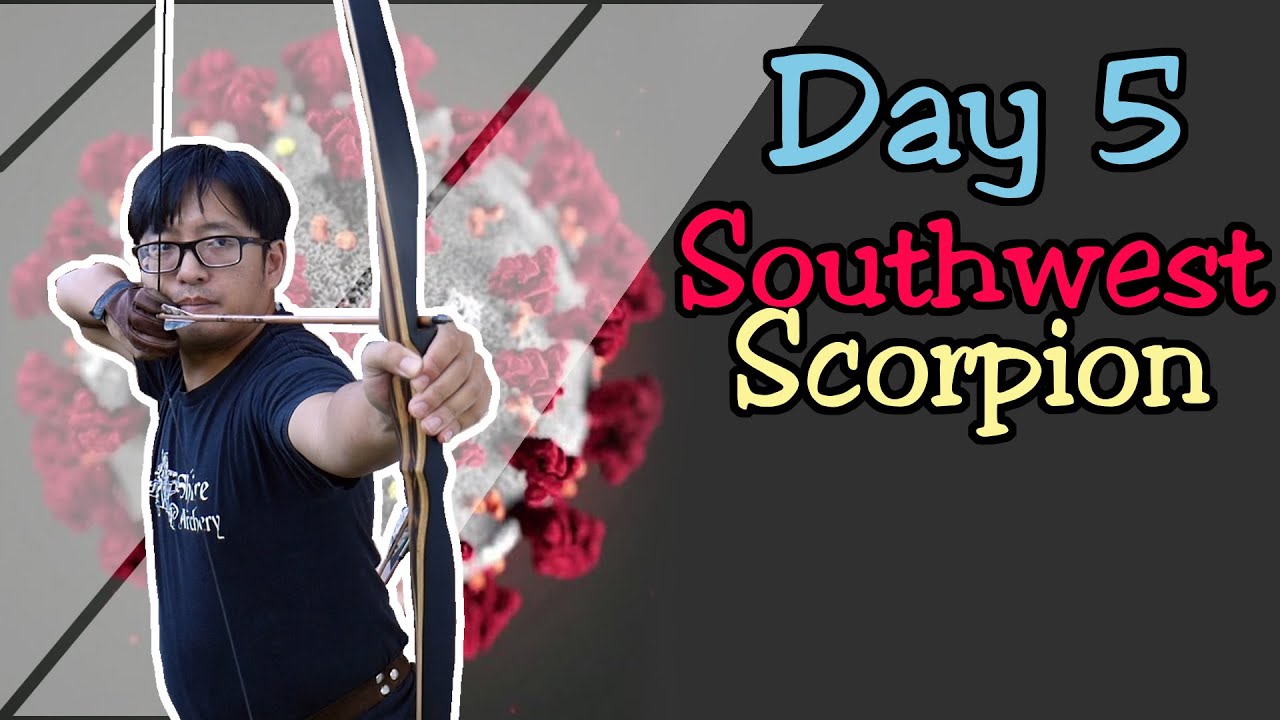 Everything You Need to Know About Southwest Archery Scorpion: A Bowhunter’s Ultimate Tool