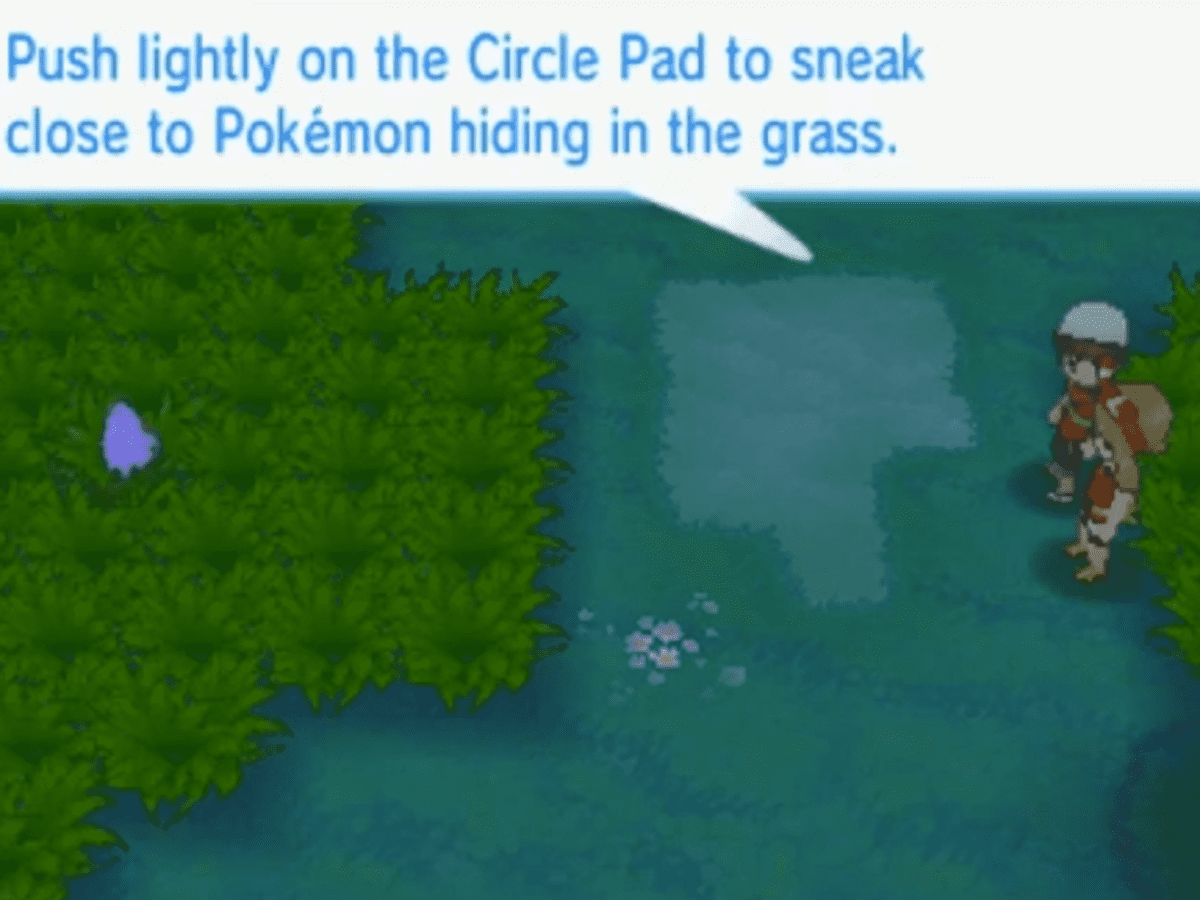 Route 102 Omega Ruby: A Scenic Walk or a Wild Challenge?