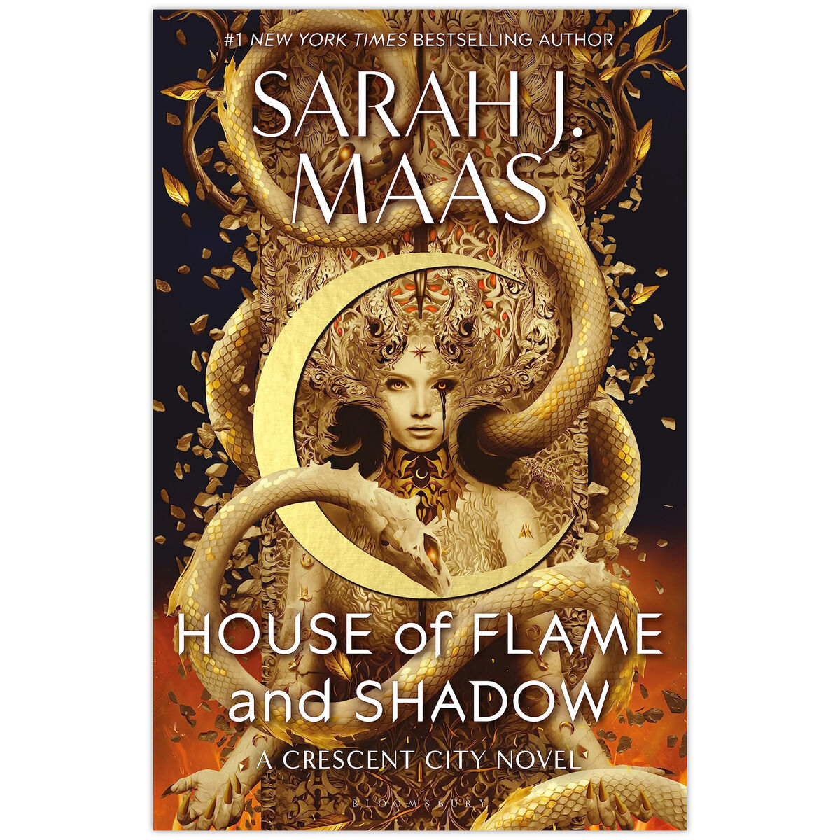 House of Flame and Shadow Prologue: A New Adventure with Some Challenges