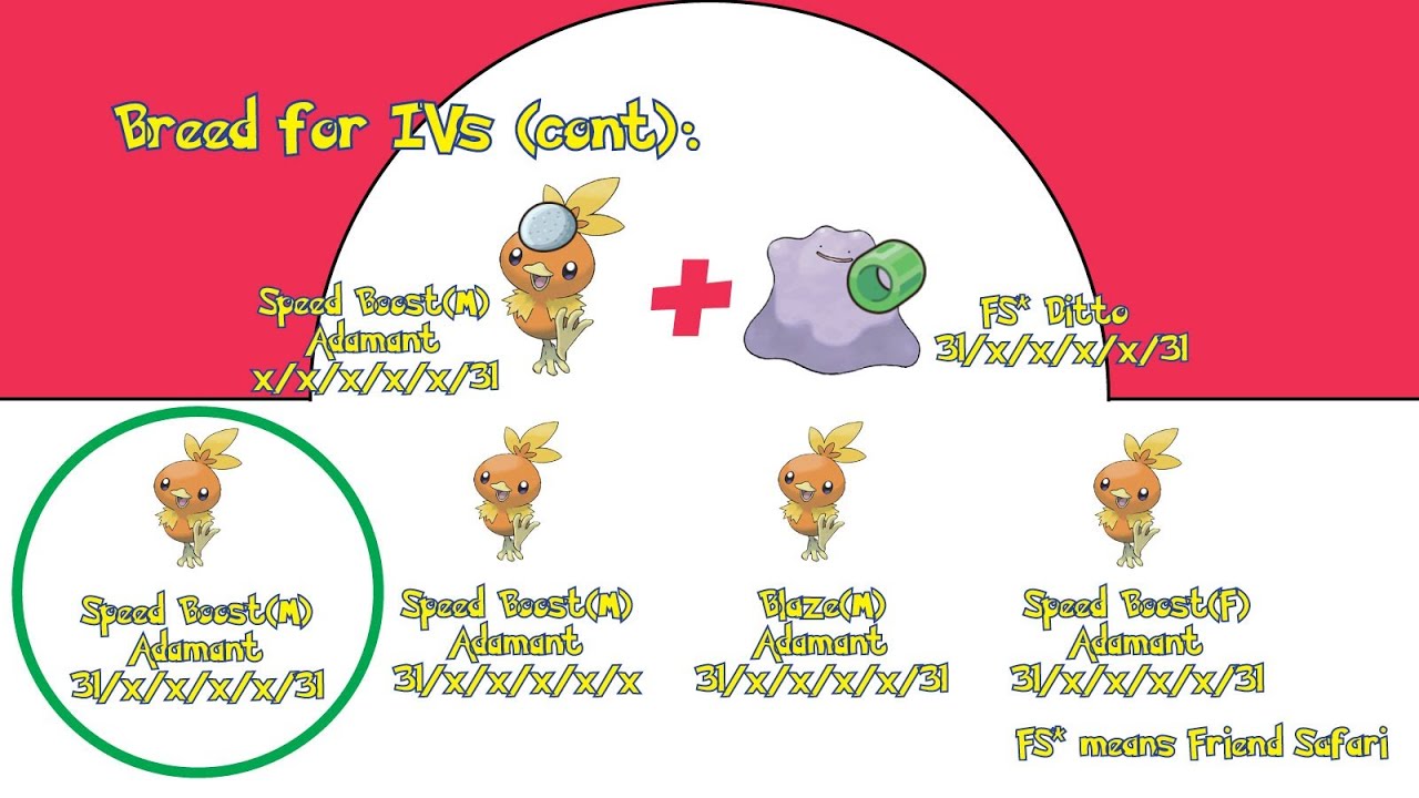 Mastering Pokémon XY Breeding: Tips, Tricks, and Insights
