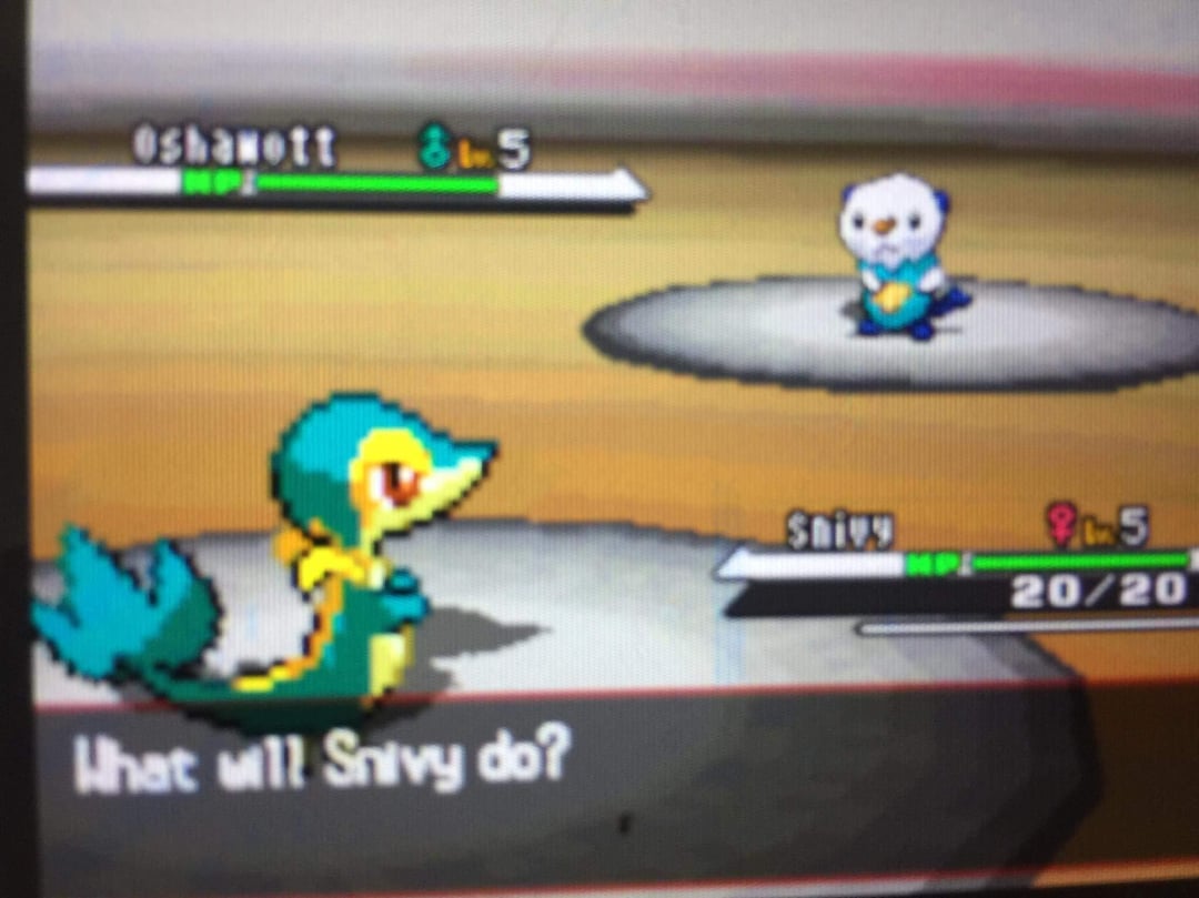 Pokemon Black: How to Get Female Starters