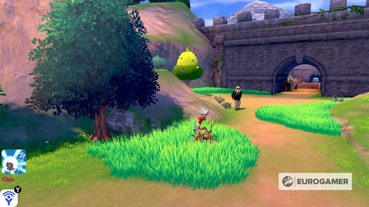 Route 7 in Pokémon Sword: The Hidden Gem and Its Challenges