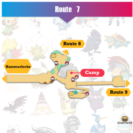 Route 7 in Pokémon Sword: The Hidden Gem and Its Challenges