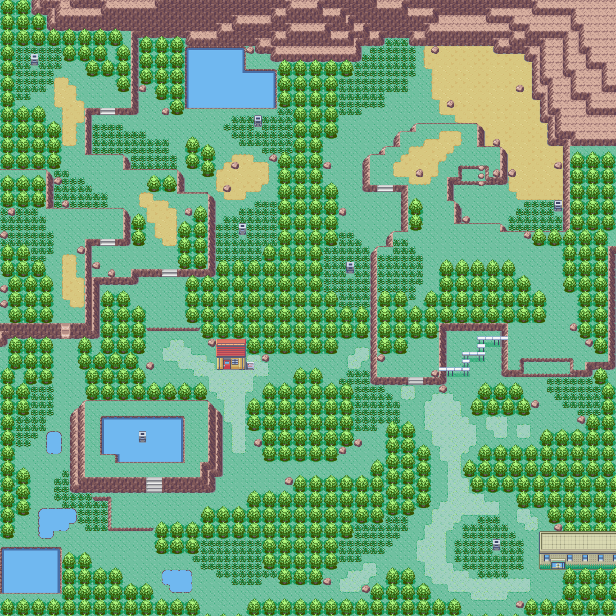 Exploring the Wonders of the Pokémon Ruby Safari Zone: A Nostalgic Hunt with a Twist
