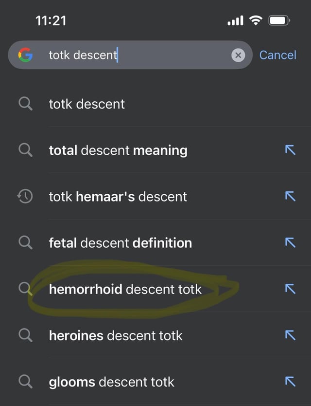 Hemaar Descent TOTK: Problem Analysis and Solutions for Gamers