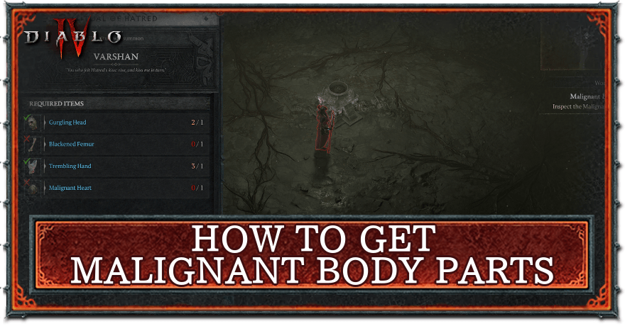 Malignant Body Cache Diablo 4: Solving the Issue with a Smile
