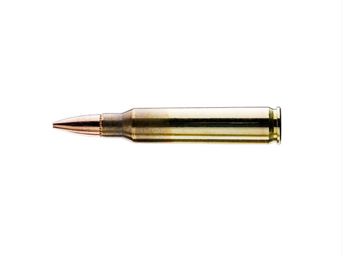 Sentry Ammo Reviews: A Comprehensive Guide to the Best Ammunition for Your Firearm