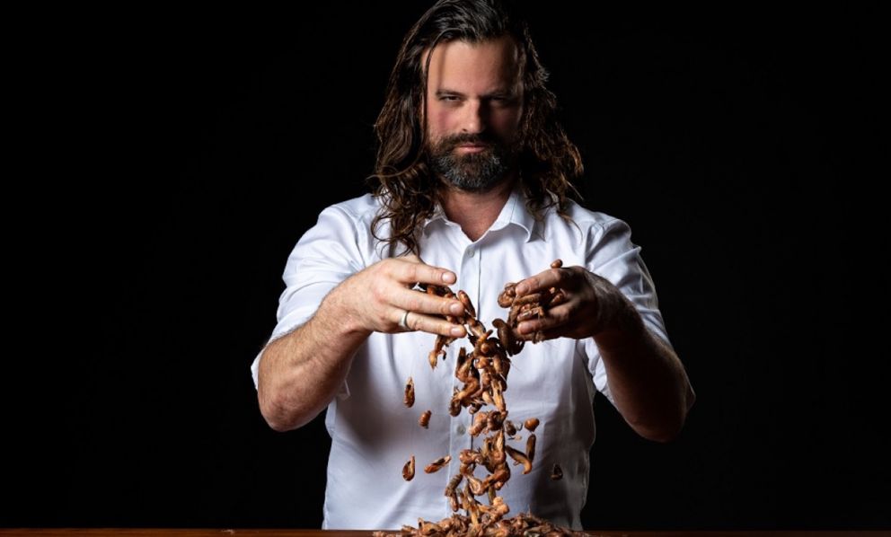 Gastronome en Famille: A Delicious Journey or a Bitter Disappointment?