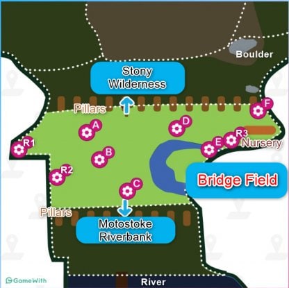 Bridge Field Pokemon Sword: Exploring the Mystery and Solutions